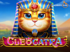 Casino oyunları jackpot. Bullbahis online casino.87